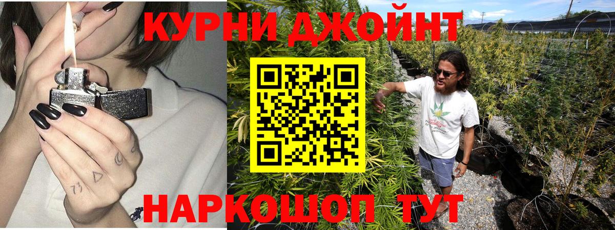 Марихуана гибрид Советский